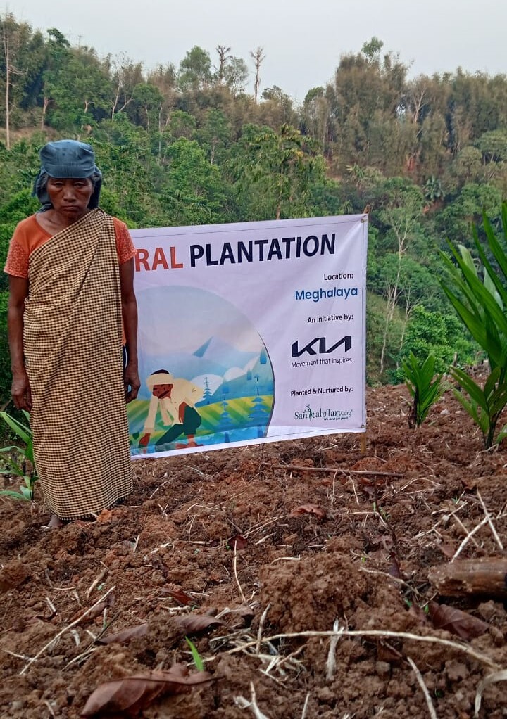 Meghalaya-Kia-Planatation